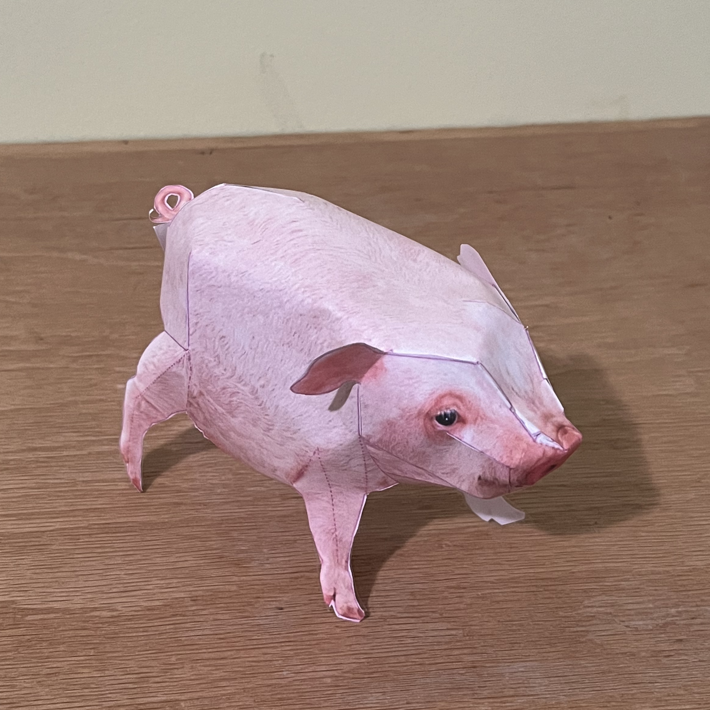 Pig